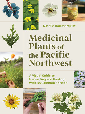 cover image of Medicinal Plants of the Pacific Northwest